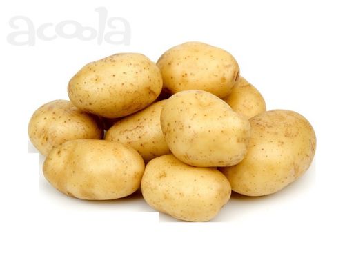 Kartofel